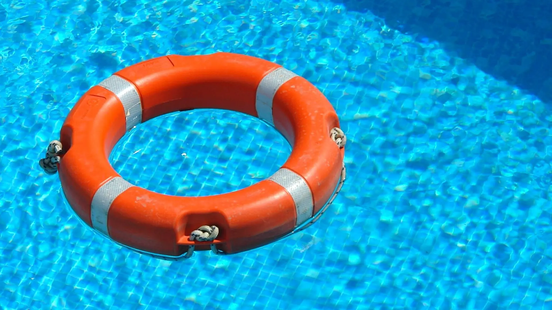 15 Ways to Make Your Pool Safe and Secure: A Pool Owner’s Guide ‐ The ...