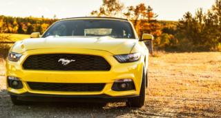 Deaf Lottery Draw 180 Photo