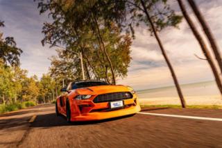 Deaf Lottery Draw 209 Photo Deaf Lottery Draw 209 Photo