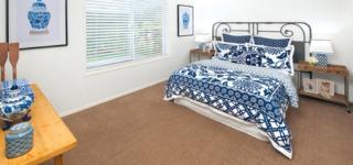 Endeavour Draw 402 Photo