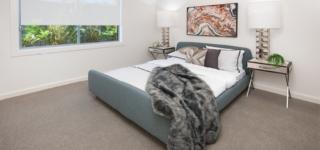 Endeavour Draw 404 Photo