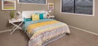 Endeavour Draw 405 Photo