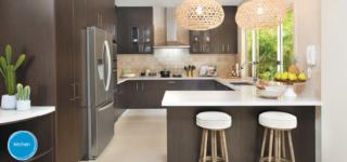 Endeavour Draw 406 Photo