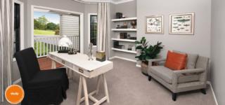 Endeavour Draw 407 Photo