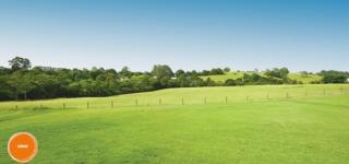 Endeavour Draw 407 Photo