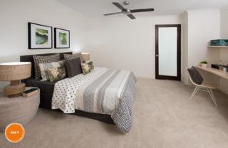 Endeavour Draw 411 Photo