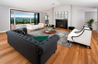 Endeavour Draw 414 Photo