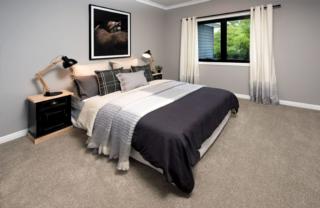 Endeavour Draw 414 Photo