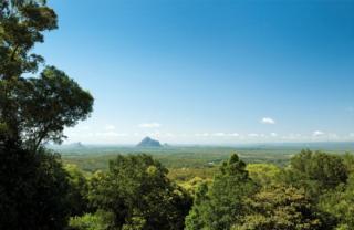 Endeavour Draw 414 Photo