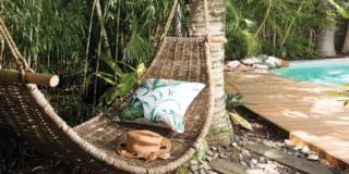 Endeavour Draw 415 Photo