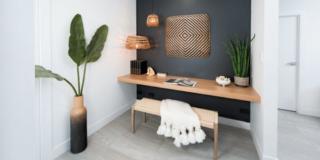 Endeavour Draw 415 Photo