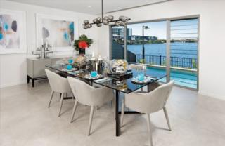 Endeavour Draw 419 Photo