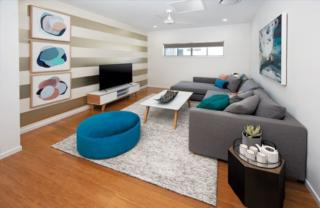 Endeavour Draw 419 Photo