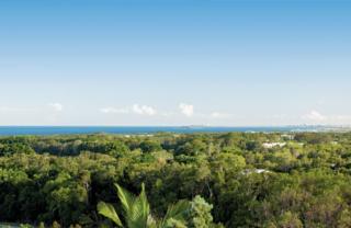 Endeavour Draw 420 Photo