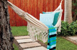 Endeavour Draw 424 Photo