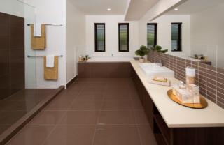 Endeavour Draw 425 Photo