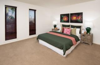 Endeavour Draw 425 Photo