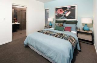 Endeavour Draw 426 Photo