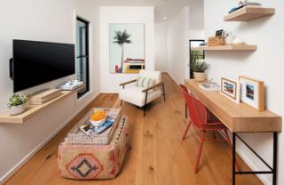 Endeavour Draw 427 Photo