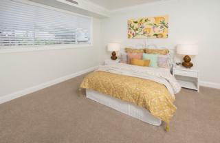 Endeavour Draw 428 Photo Endeavour Draw 428 Photo