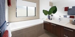 Endeavour Draw 430 Photo