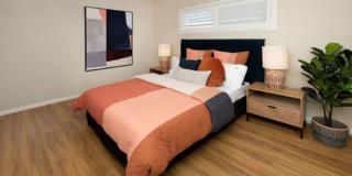 Endeavour Draw 430 Photo