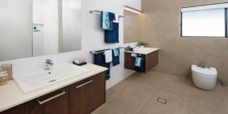 Endeavour Draw 430 Photo