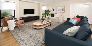 Endeavour Draw 430 Photo