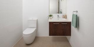 Endeavour Draw 430 Photo