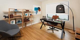 Endeavour Draw 430 Photo