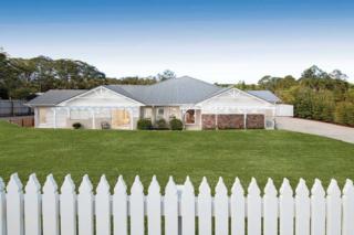 Endeavour Draw 432 Photo Endeavour Draw 432 Photo