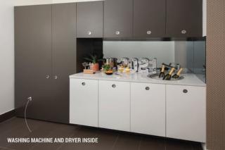 Endeavour Draw 433 Photo