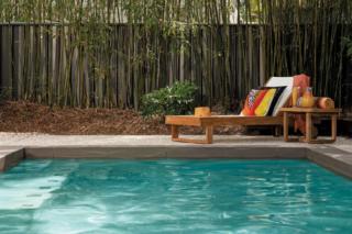 Endeavour Draw 433 Photo