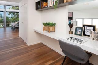 Endeavour Draw 433 Photo