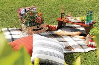 Endeavour Draw 435 Photo