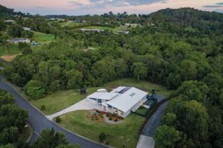 Endeavour Draw 439 Photo