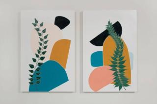 Endeavour Draw 439 Photo