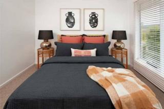 Endeavour Draw 440 Photo