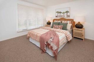 Endeavour Draw 440 Photo