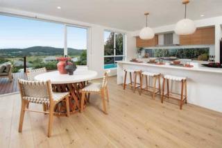 Endeavour Draw 440 Photo