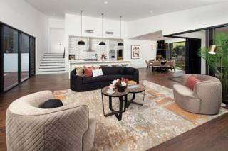 Endeavour Draw 443 Photo