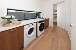 Endeavour Draw 455 Photo