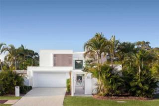 Endeavour Draw 466 Photo