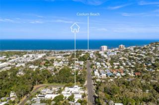 Endeavour Draw 466 Photo