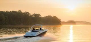 Mater Draw 259 Photo