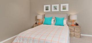 Mater Draw 263 Photo