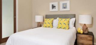 Mater Draw 263 Photo