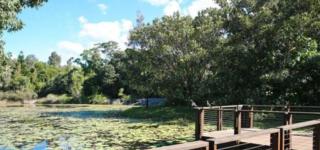 Mater Draw 263 Photo