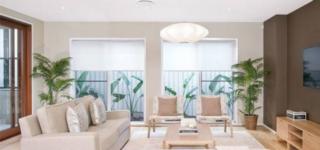 Mater Draw 263 Photo