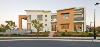 Mater Draw 268 Photo